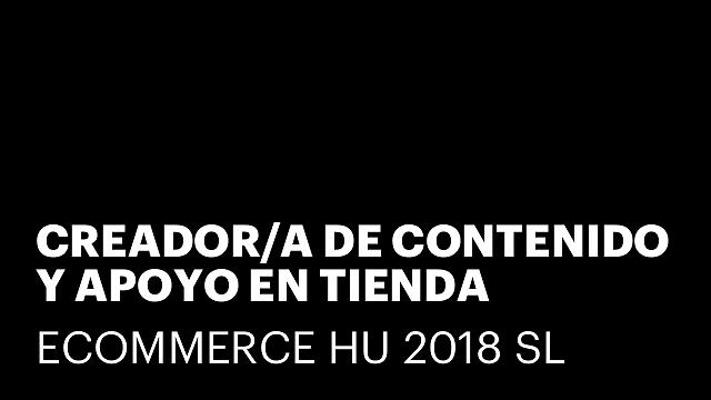 CREADOR/A DE CONTENIDO Y APOYO EN TIENDA