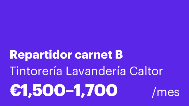 Repartidor carnet B