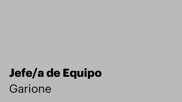 Jefe/a de Equipo