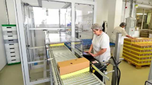 Operario industria alimentaria