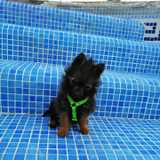 Antonio P. avatar icon