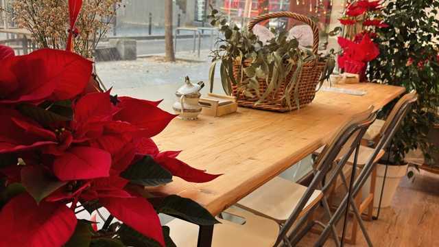 Camarero/a y Barista