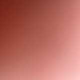 Noelia  …. avatar icon