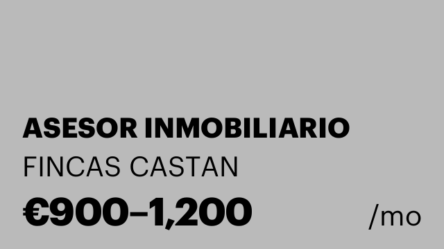 ASESOR INMOBILIARIO