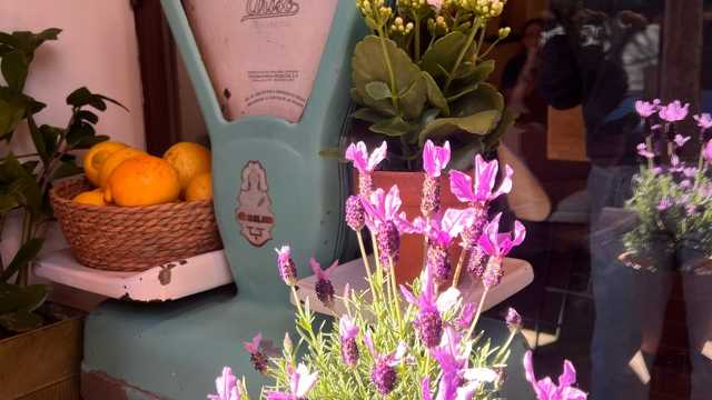 Camarero/a de Restaurante