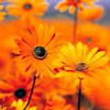 Miguel P. avatar icon