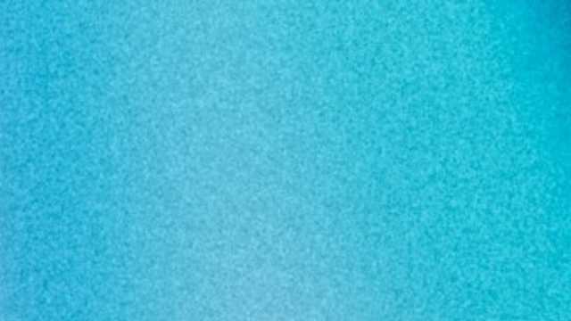 Creador/a de contenido audiovisual — Gestión de redes