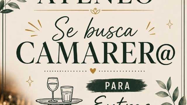 Camarero/a de Extras