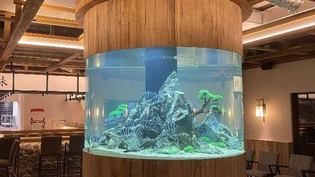 Waiters,waitresses and chefs