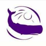 Hotel Nuevo Cachalote logo