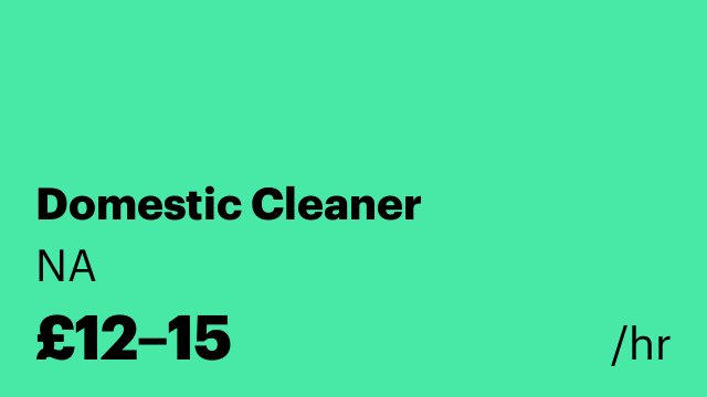Domestic Cleaner