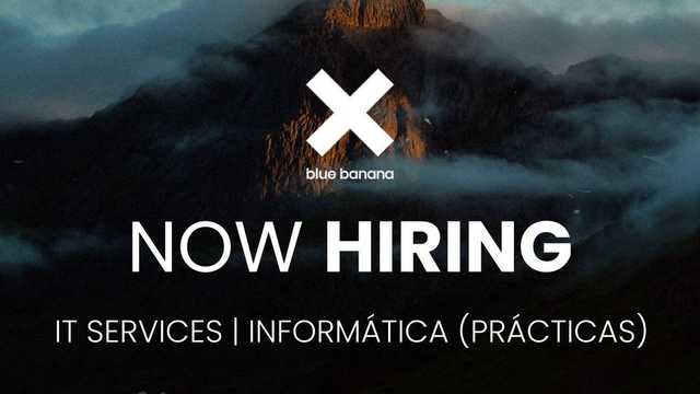 IT Services| Informatica (Prácticas)