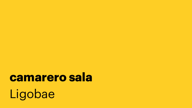camarero sala