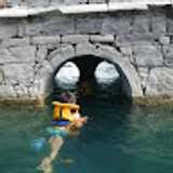 Silvia B. avatar icon