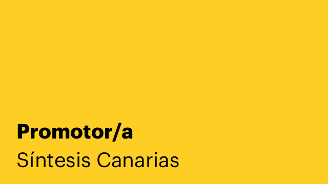 Promotor/a