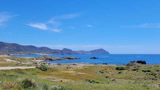 Cocinero/a Restaurante