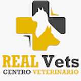 Manuel R. avatar icon