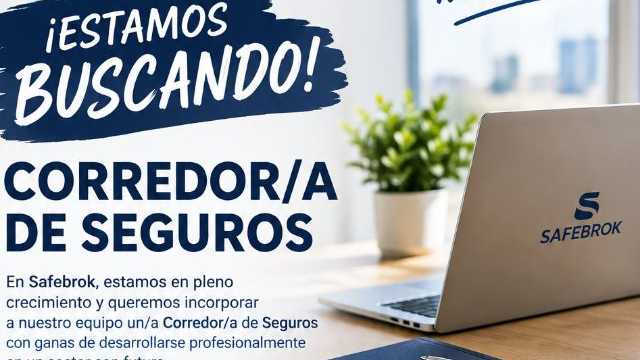 Agente Comercial