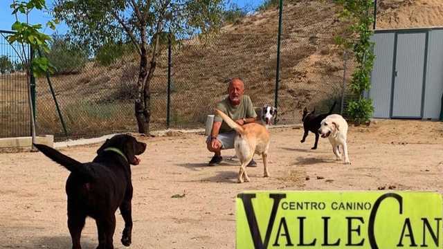 Empleado de residencia canina