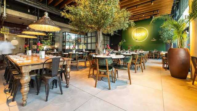 Head Waiter / Waitress
