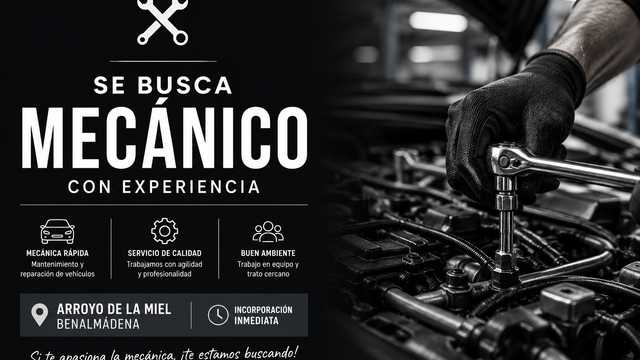 MECÁNICO CON EXPERIENCIA