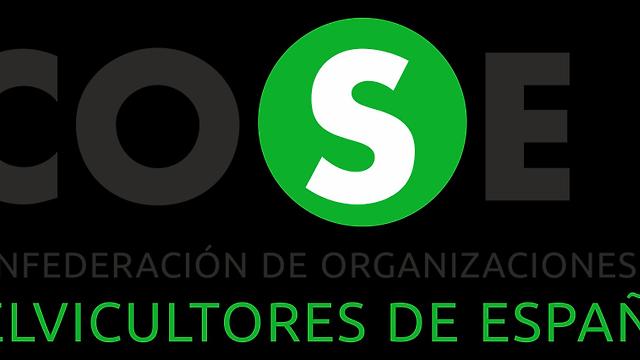Técnico ingenero/a de Montes interesado/a en el sector forestal privado