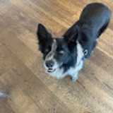 Joseph H. avatar icon