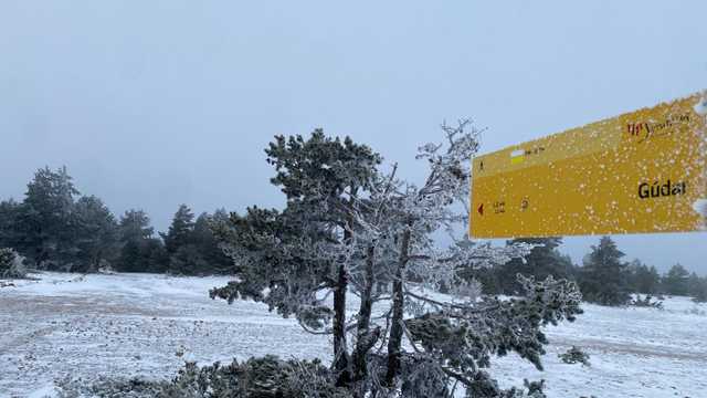 Cocinero/a Restaurante