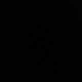 avatar icon