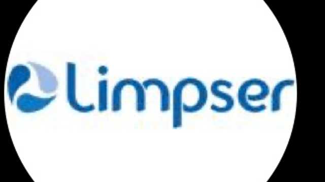 Limpiador/a