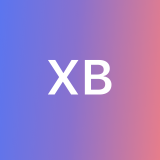 Xenit CX Talent Solutions B. avatar icon