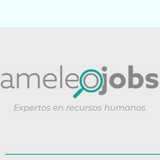 Ameleo  J. avatar icon