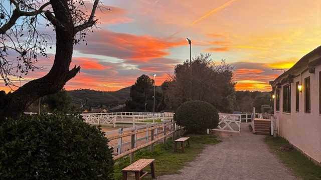 Camarero/a
