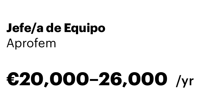Jefe/a de Equipo