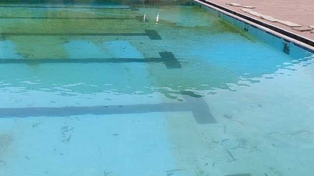 Mantenimiento piscinas