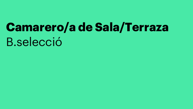 Camarero/a de Sala/Terraza