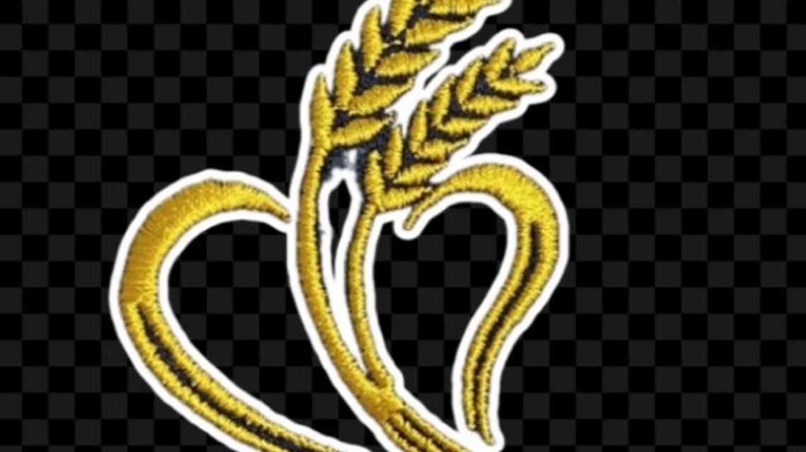 La cuina de Alejandro  cover image