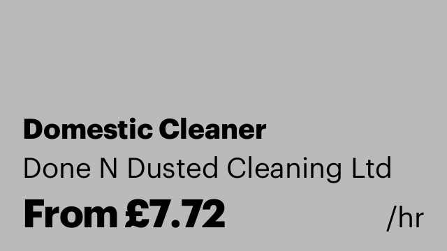 Domestic Cleaner