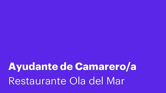 Ayudante de Camarero/a