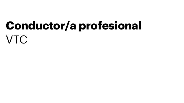 Conductor/a profesional