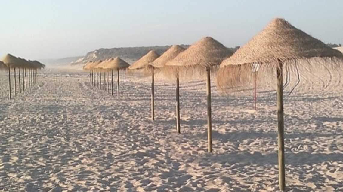 MONDO RESORTS cover image