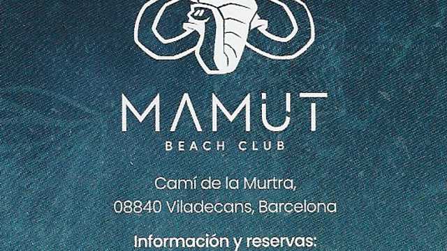 Camarero/a de Restaurante