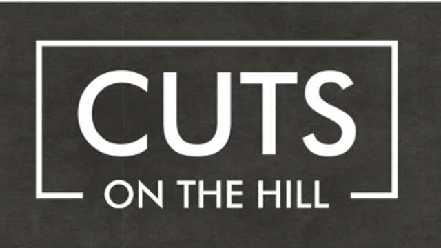 Barber / Hairdresser