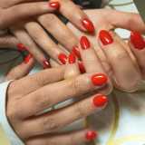 Gisel M. avatar icon