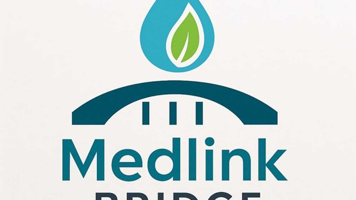 Medlink Bridge sl cover image
