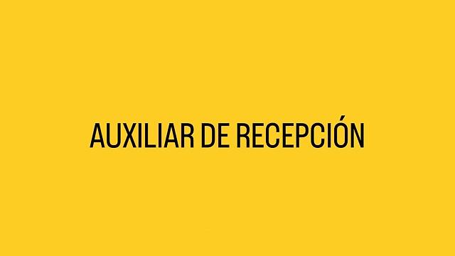 Auxiliar de recepción
