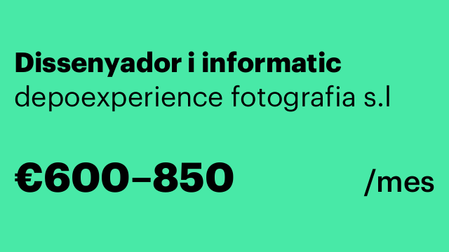 Dissenyador i informatic