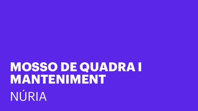 MOSSO DE QUADRA I MANTENIMENT