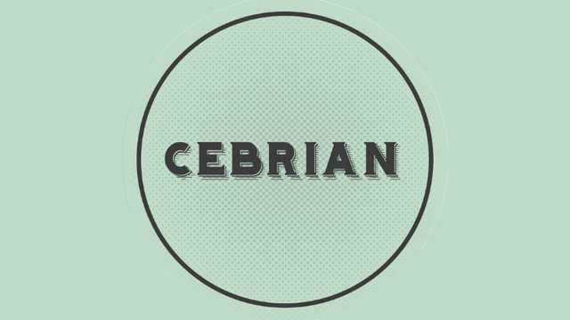 AYDT CAMARERO 25H - CEBRIAN SAN FRANCISCO