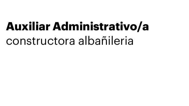 Auxiliar Administrativo/a